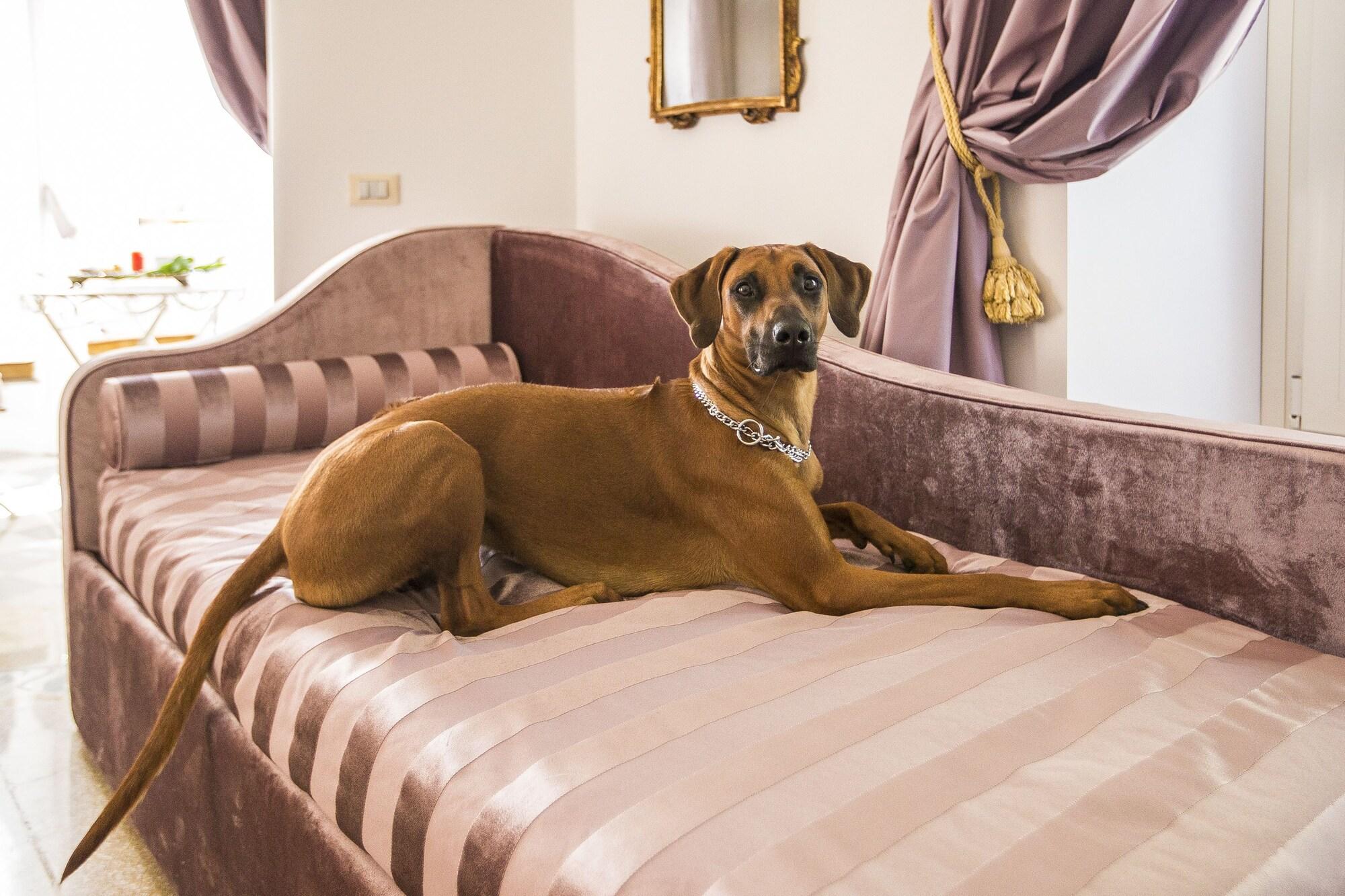 Trastevere Royal Suite Rome Buitenkant foto